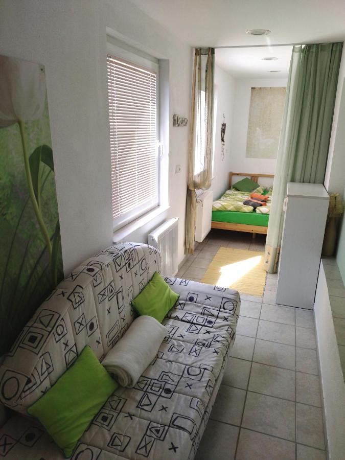 בגונג'ה נה גורנג'סקם Apartma Peter1A מראה חיצוני תמונה