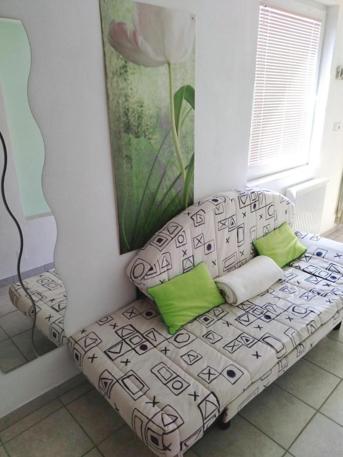 בגונג'ה נה גורנג'סקם Apartma Peter1A מראה חיצוני תמונה